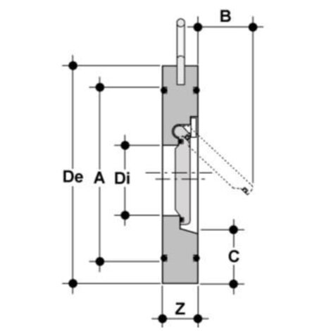 FROAV/C4 - Clapet valve with Hastelloy C4 spring DN 32:400