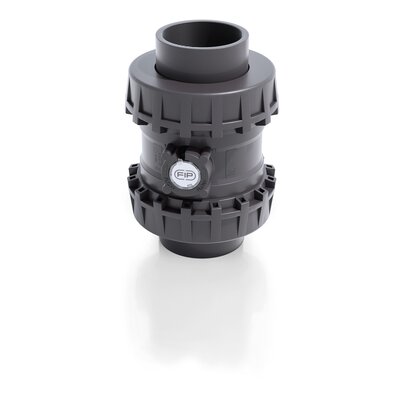 SSEAV/PTFE - Easyfit True Union ball and spring check valve DN 65:100