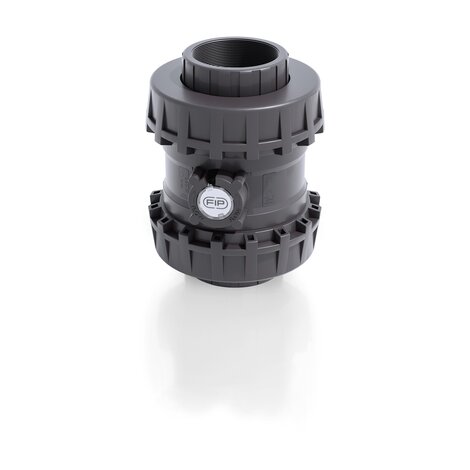 SSEGV/PTFE - Easyfit True Union ball and spring check valve DN 65:100