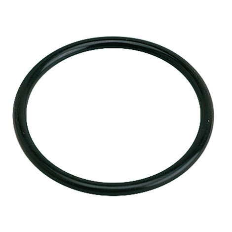 O'ring for inspection plug