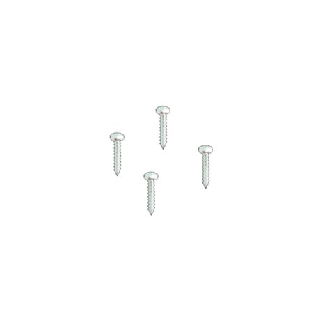 Stainless steel screws (4 units)