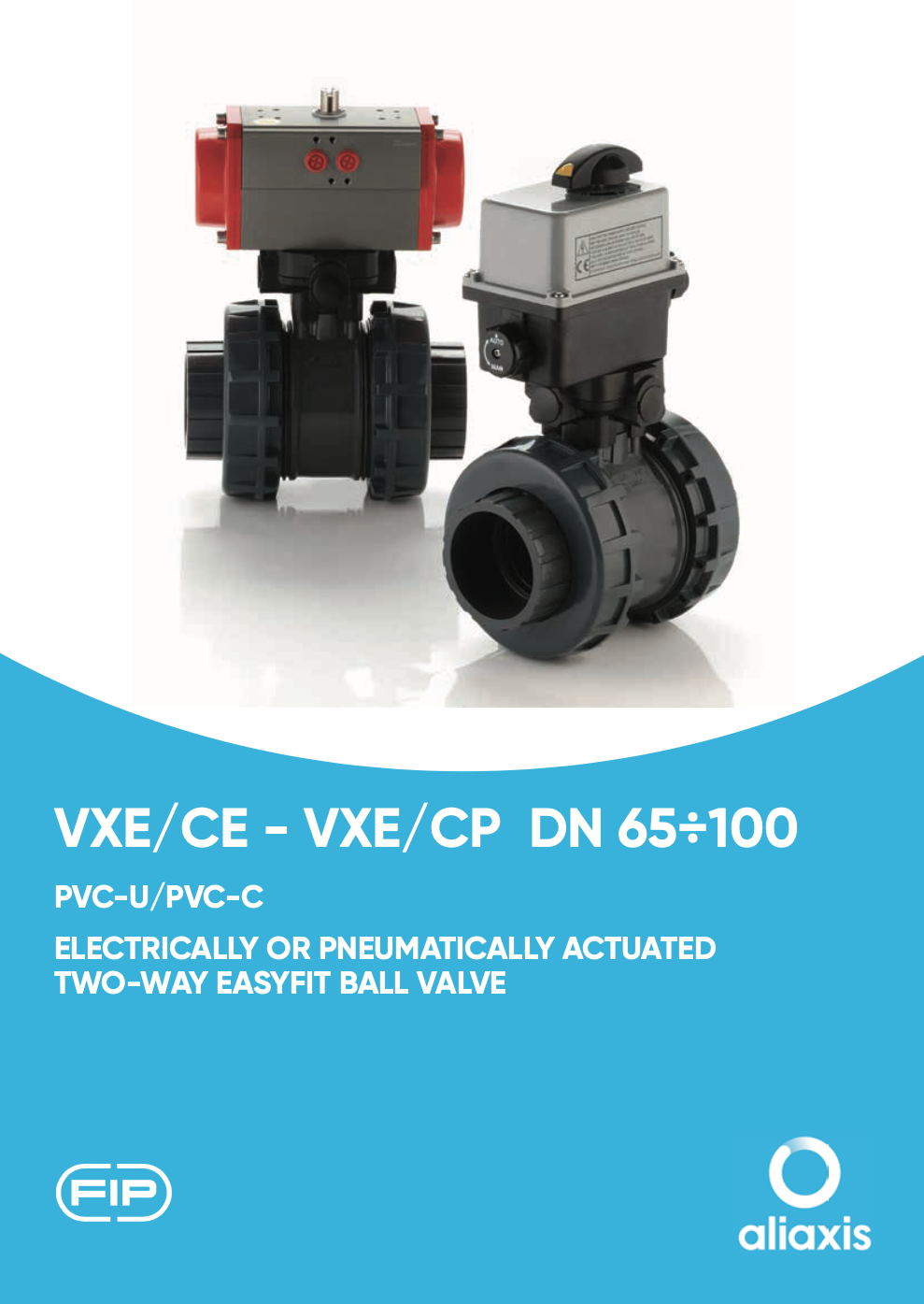 VXE CE -CP DN 65-100 Technical Catalogue